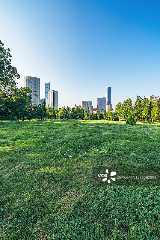 公园里的草坪和树木图片素材