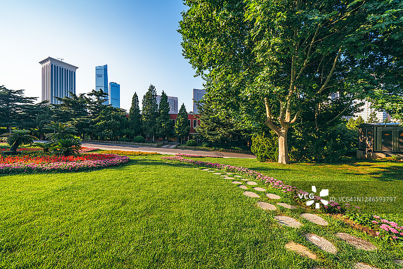 公园里的草坪和树木图片素材