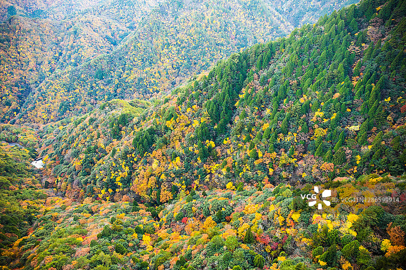 三重县御在所岳的秋色图片素材