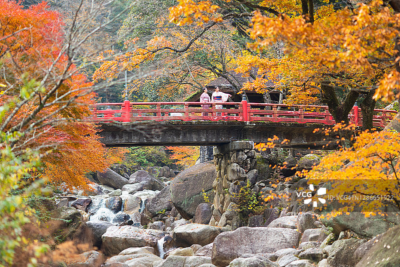 红桥上身穿和服、手持秋季枫叶的女士图片素材