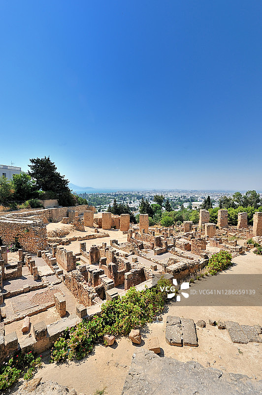 迦太基，比尔萨的布匿区遗址图片素材