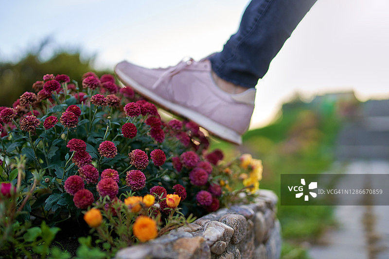 请勿践踏花草图片素材