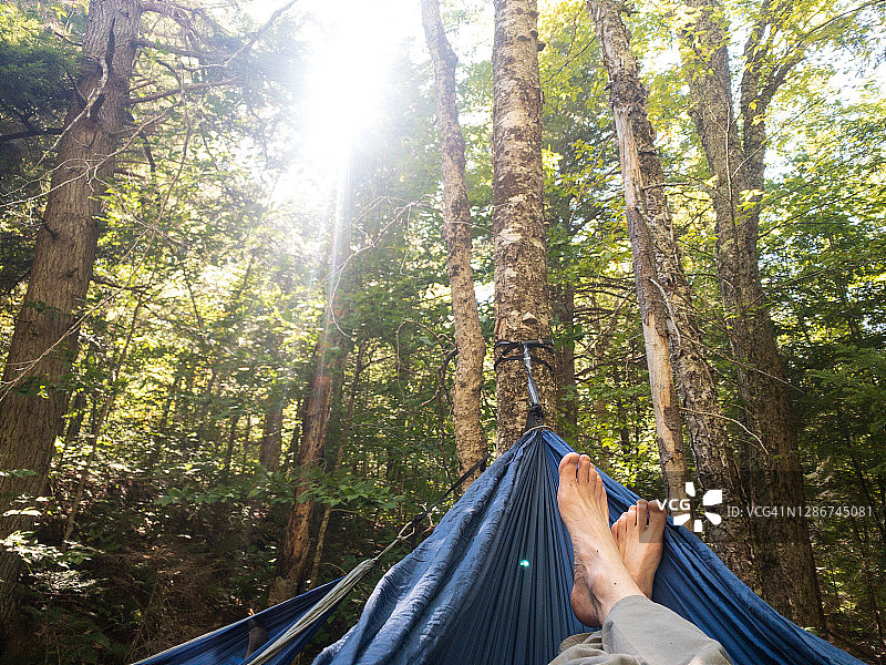 徒步旅行后在佛蒙特森林的吊床上放松图片素材