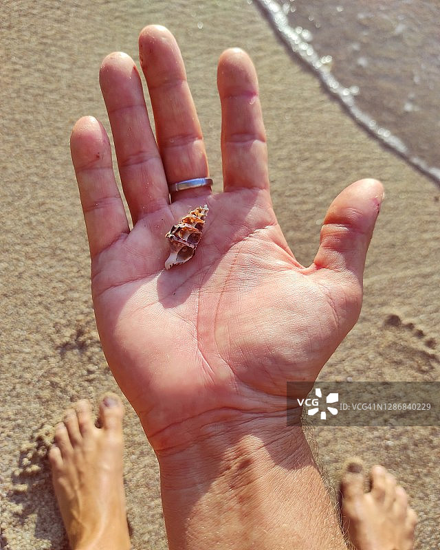 海滩上的贝壳与手图片素材