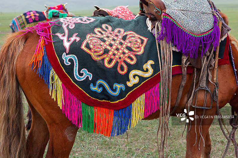 蒙古马的身体装饰图片素材