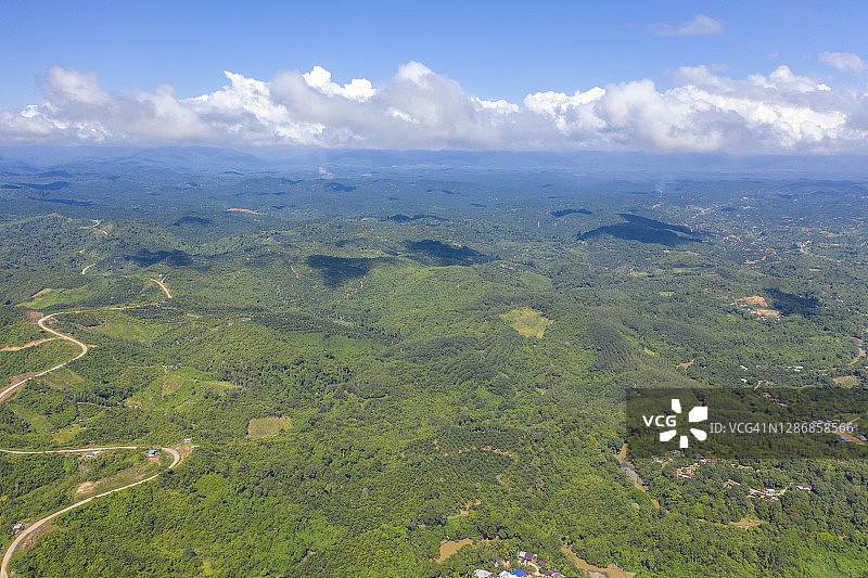 马来西亚沙巴婆罗洲的蓝天河流热带雨林图片素材