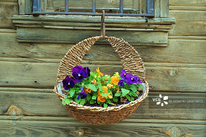 悬挂的鲜花图片素材