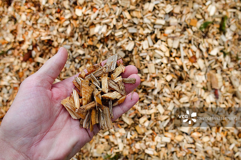 手持木片特写图片素材