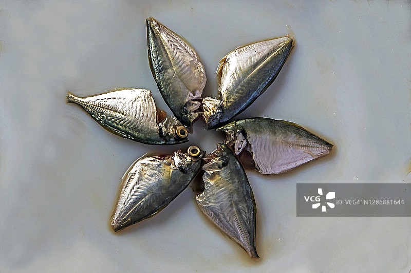 喀拉拉邦海鲜图片素材