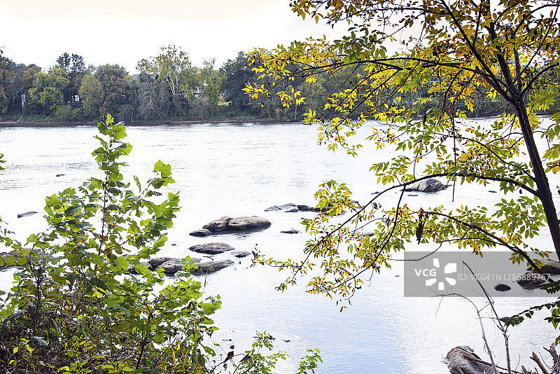 秋季南卡罗来纳州康加里河哥伦比亚风光图片素材