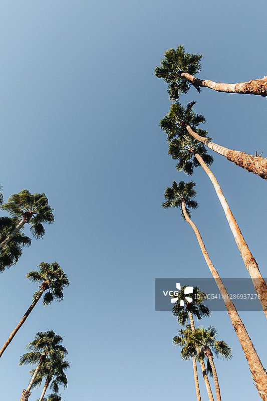 加利福尼亚州棕榈泉户外日间景观图片素材