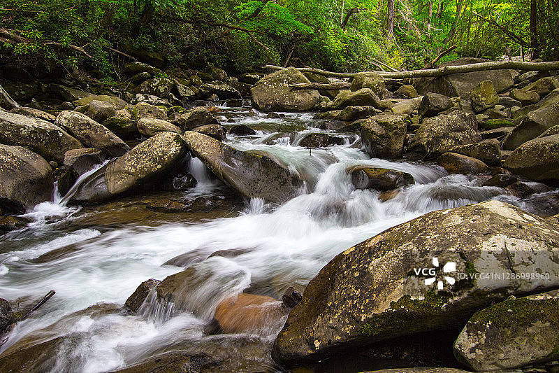 春天大雾山奔腾的河流图片素材