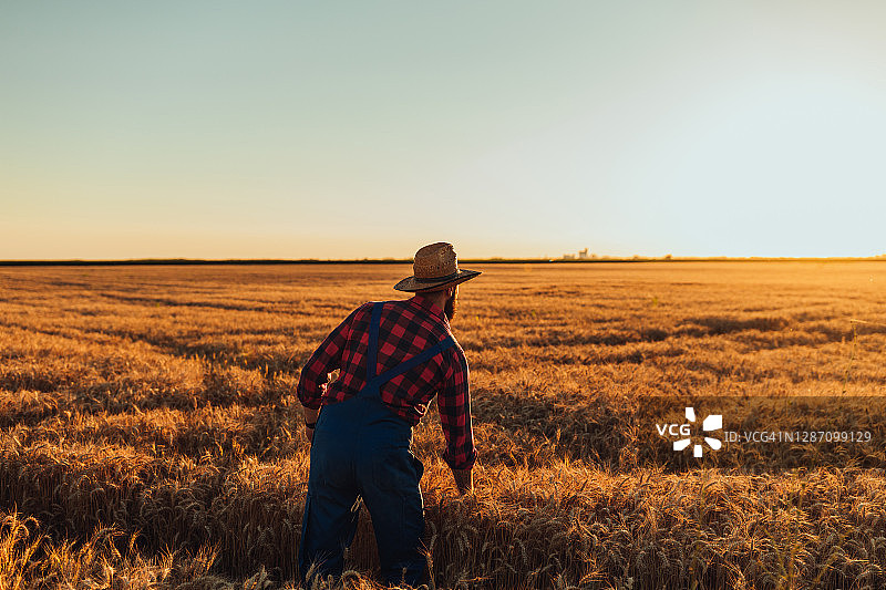 农业生产活动图片素材