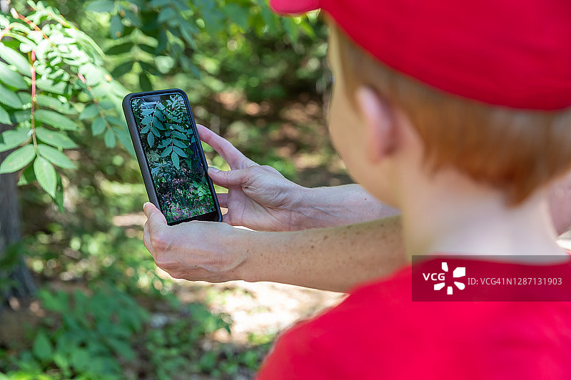 红发小男孩和母亲拍摄植物和自然照片图片素材