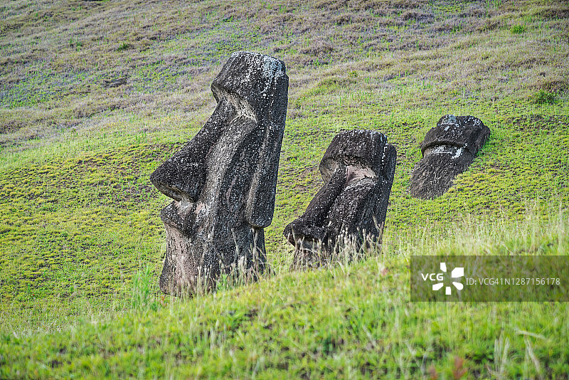 复活节岛拉诺拉拉库的摩艾石像，拉帕努伊，智利图片素材