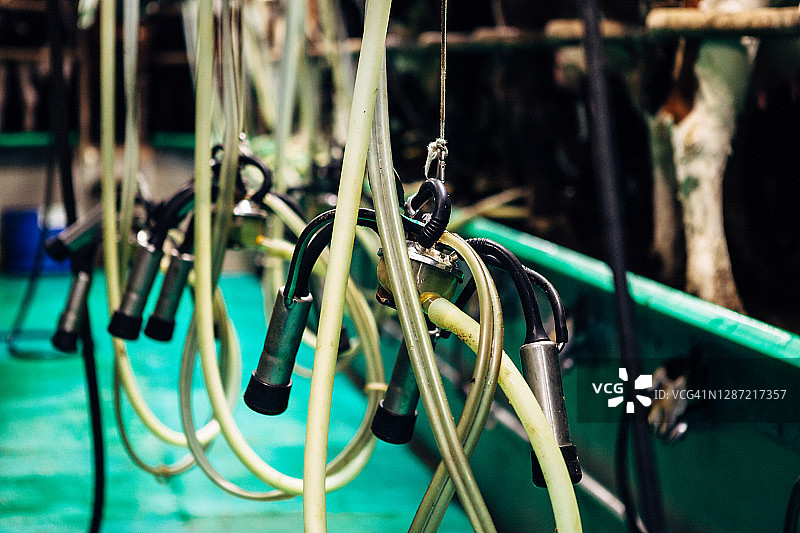 挤奶机设备特写镜头图片素材