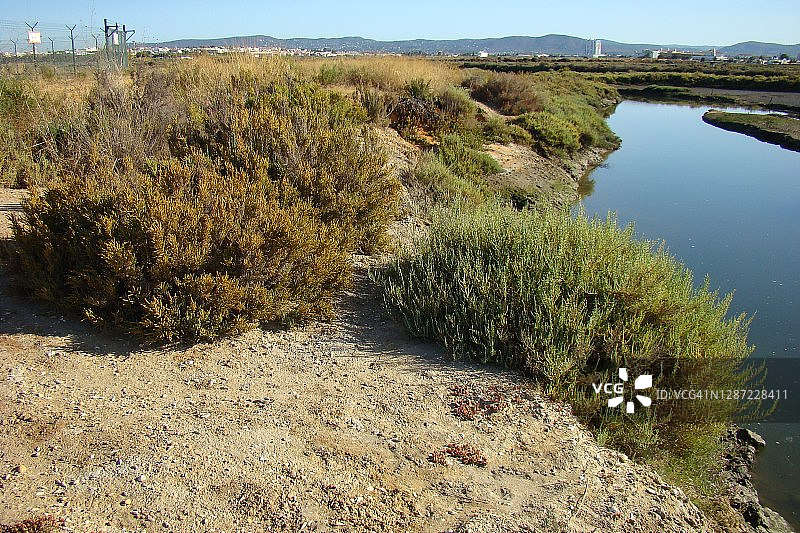 法鲁沼泽地，葡萄牙图片素材