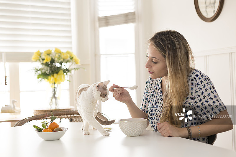 猫咪看着女人吃早餐图片素材