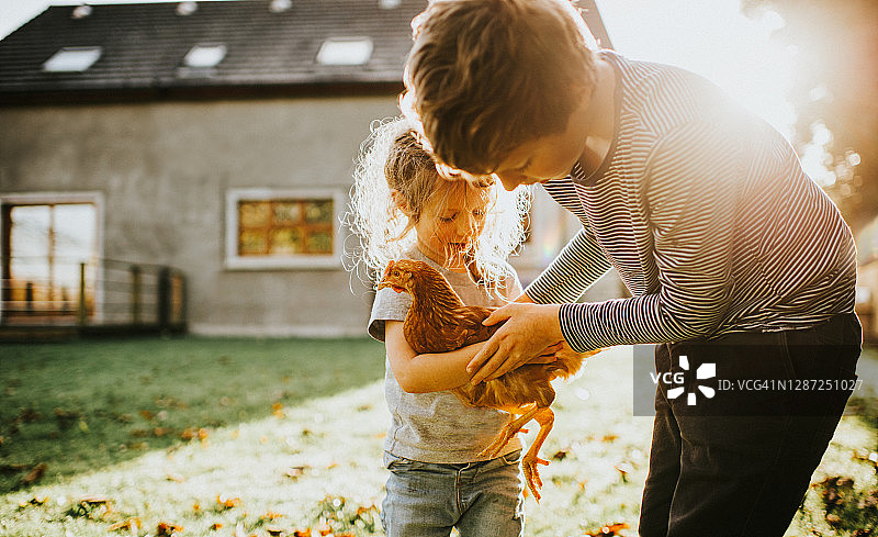 年长的孩子温柔地递给年幼的孩子一只鸡图片素材