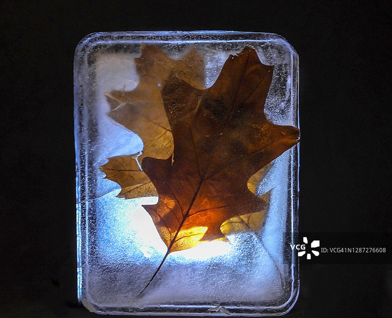 冷冻蔬菜图片素材