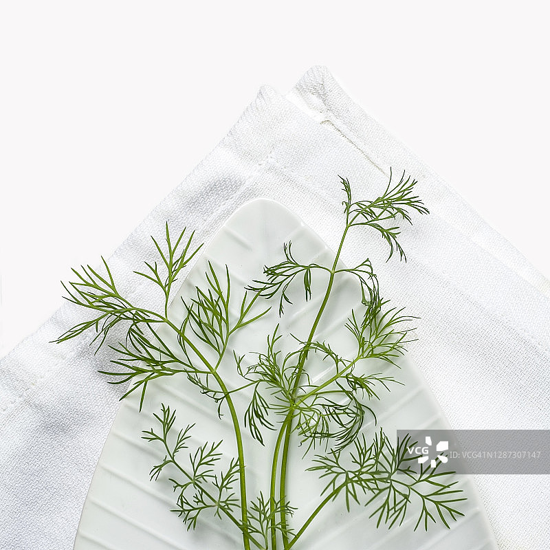 白色背景上的莳萝图片素材