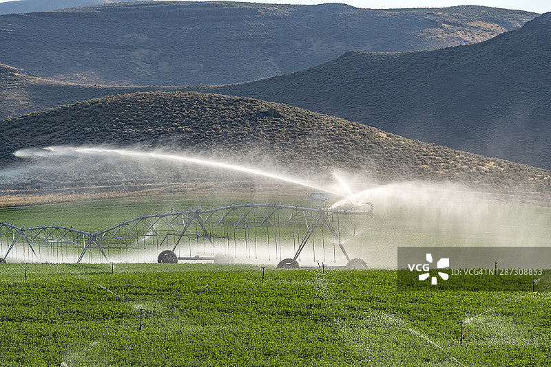 美国爱达荷州贝莱弗中心枢轴灌溉系统在田间洒水图片素材