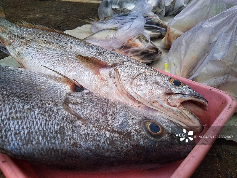 新鲜的红鱼图片素材