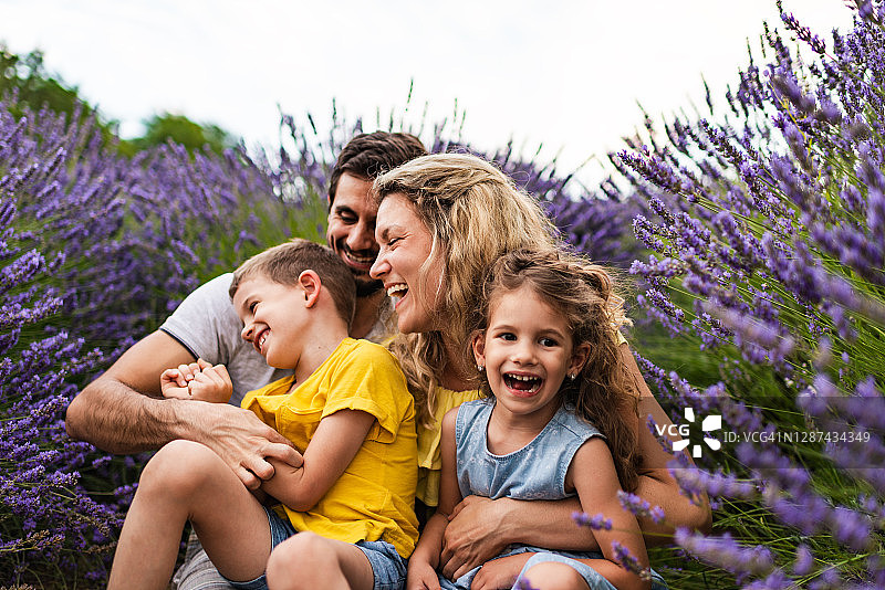 年轻家庭在薰衣草田游玩图片素材