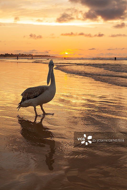 达喀尔海滩图片素材