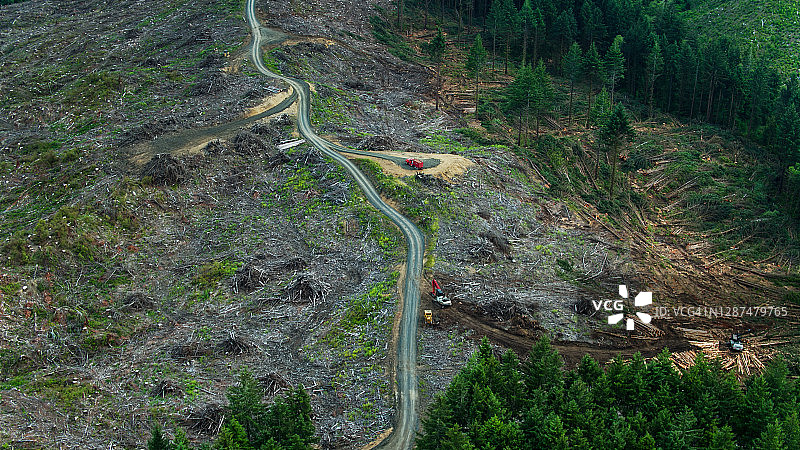 俄勒冈州的伐木采收图片素材