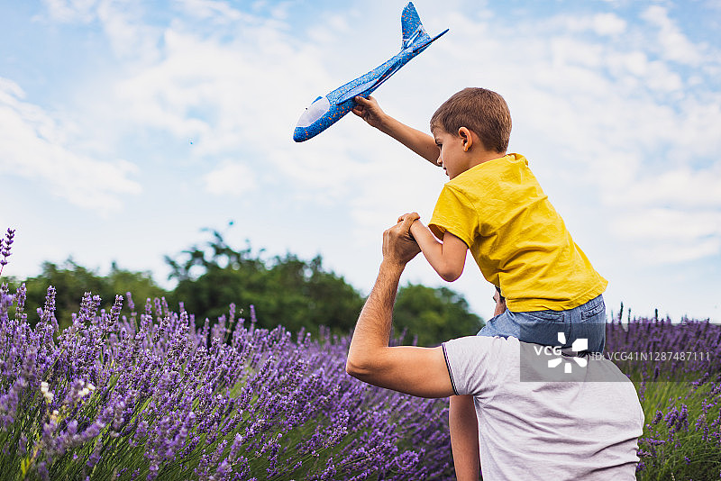 父子在薰衣草田里游玩图片素材