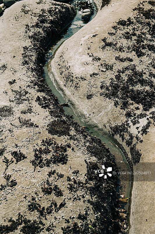 海滩岩石板的特写抽象镜头图片素材