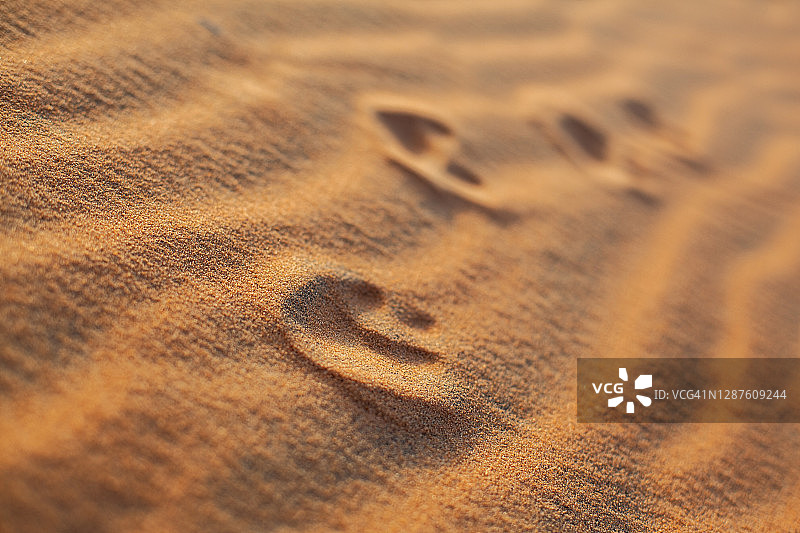 塞内加尔沙漠图片素材