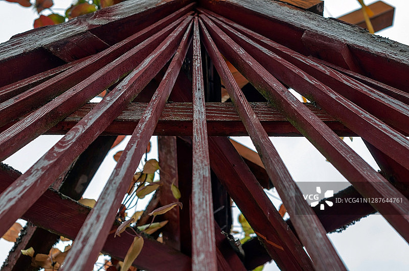 用于攀援植物的木制棚架图片素材