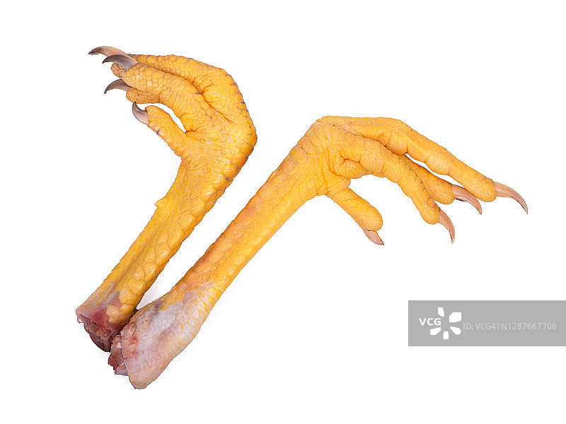 新鲜生鸡爪图片素材
