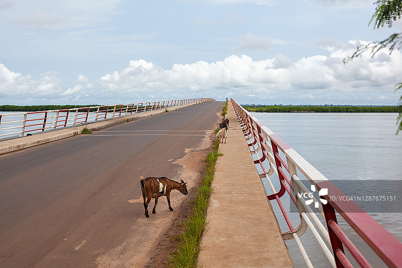 塞内加尔旅游图像图片素材