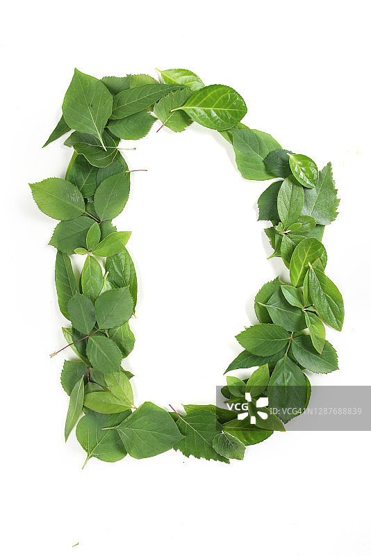 叶子、俯视角度、物体、字母D图片素材