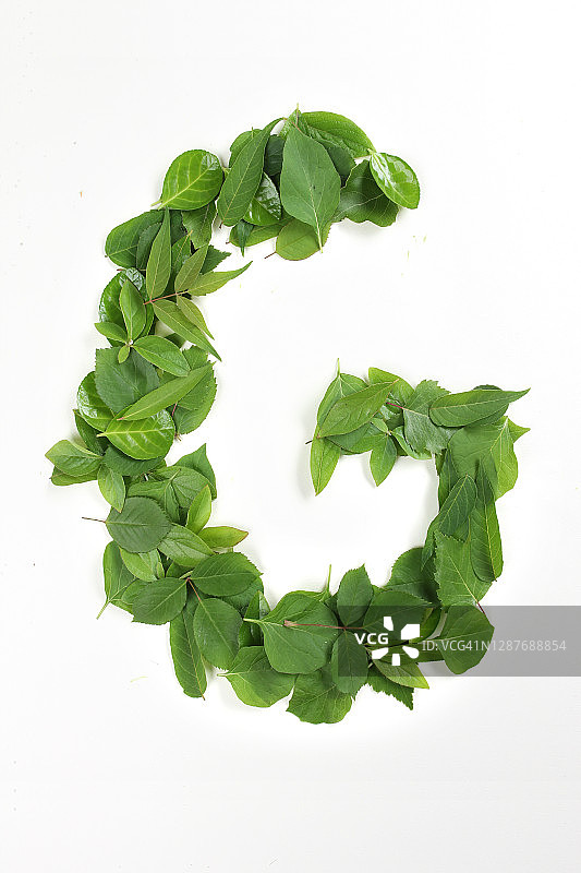 树叶，顶角，直接顶角，物体，字母G图片素材