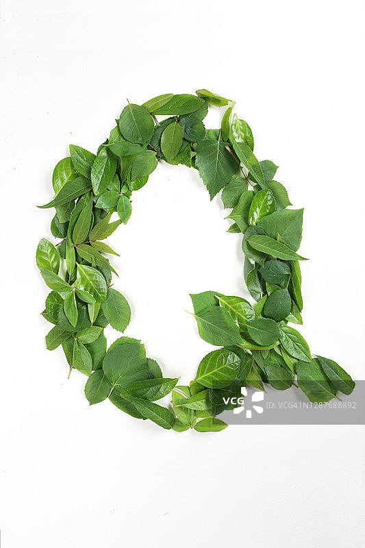 叶子，顶角，正顶角，物体，字母Q图片素材