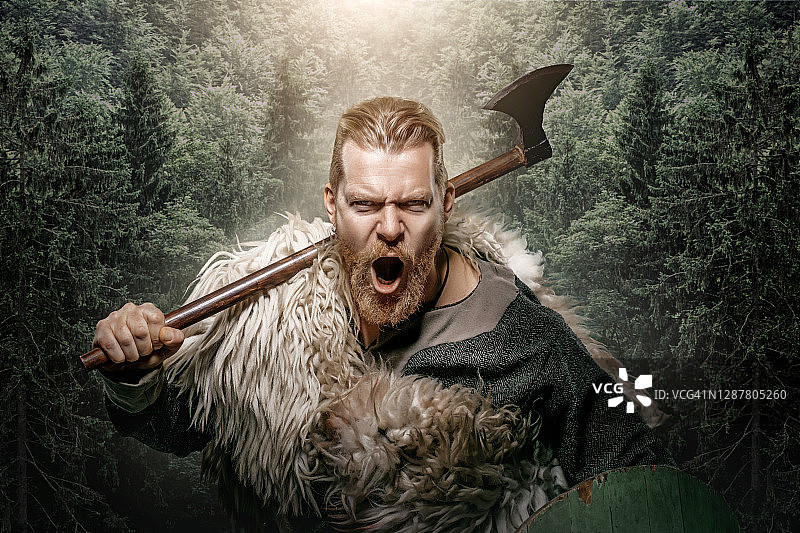 森林中的维京战士图片素材