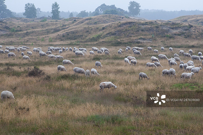 自然恢复图片素材