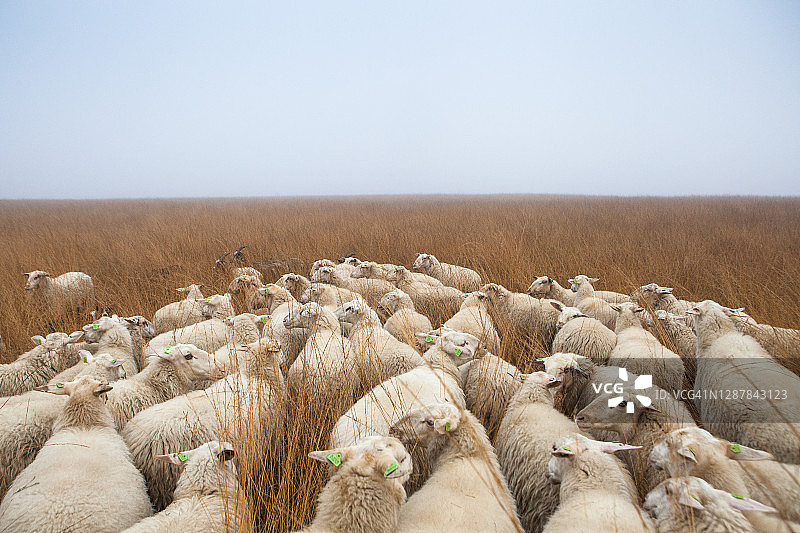 自然恢复图片素材