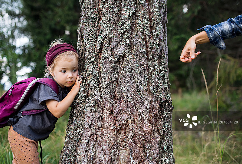 在森林里与小女孩玩耍的母亲（面部不可见）图片素材