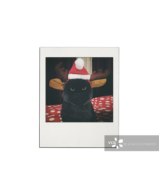 圣诞猫即时打印转印图片素材