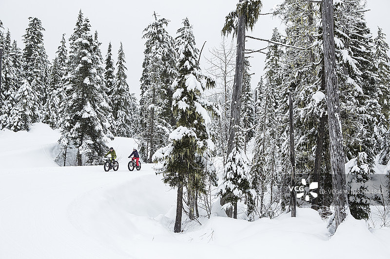 情侣在加拿大惠斯勒雪地骑胖胎自行车图片素材