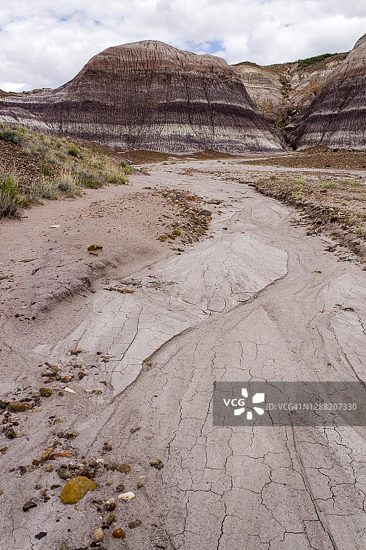 石化森林国家公园蓝台地区的干涸河床图片素材