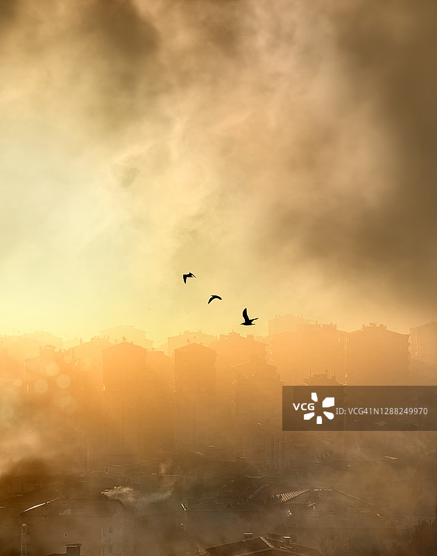 环境污染概念：雾霾城市与飞鸟图片素材