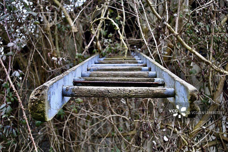 向上移动图片素材