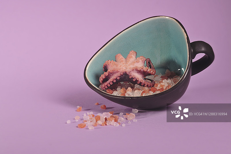 喜马拉雅盐和碗里的章鱼图片素材