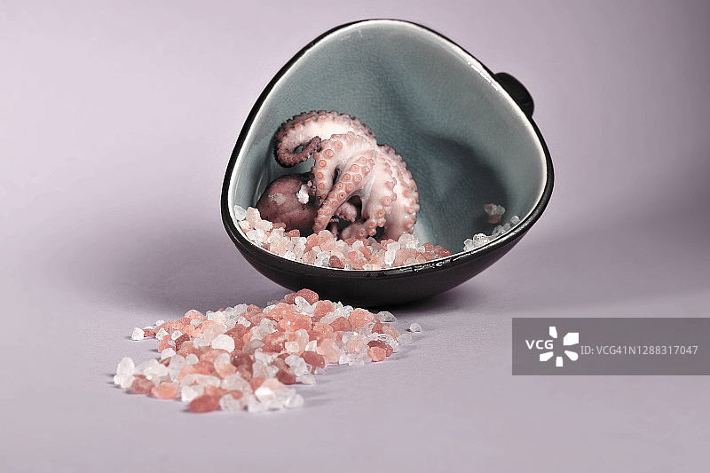 喜马拉雅盐和碗里的章鱼图片素材